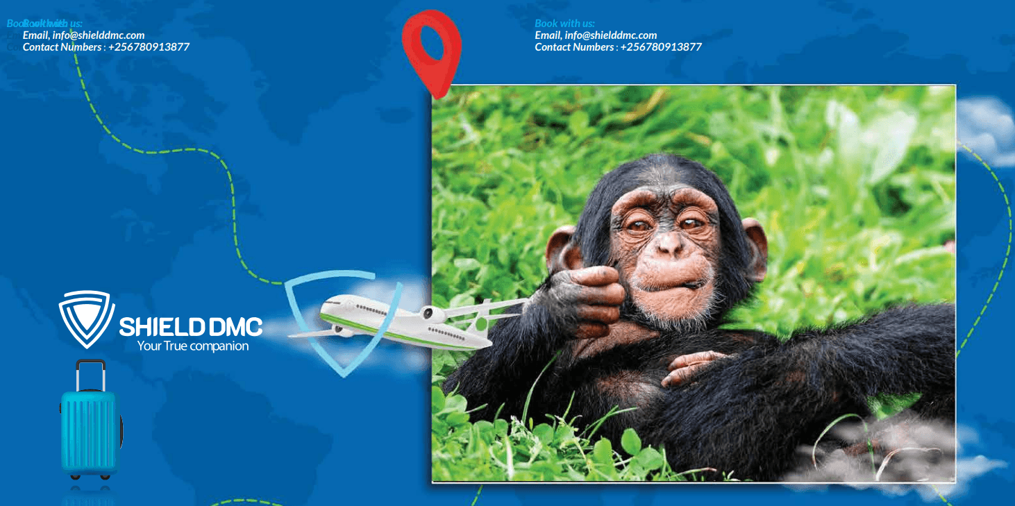 Uganda Packages Overlay
