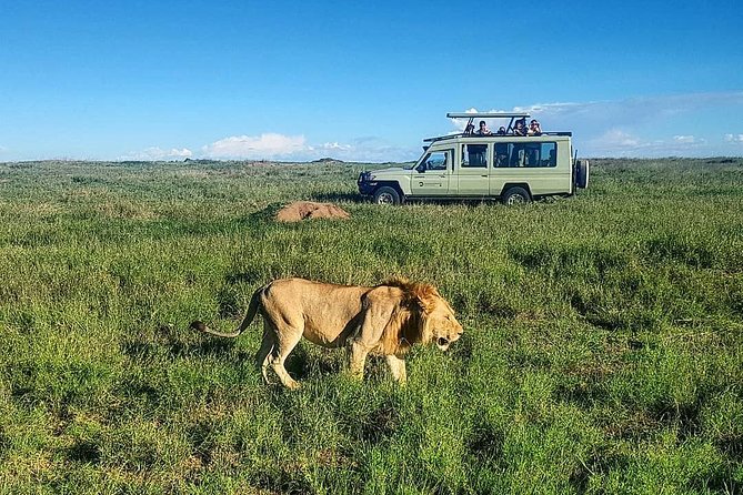 A Day Game Drive in Akagera National Park